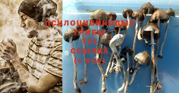 марихуана Армянск