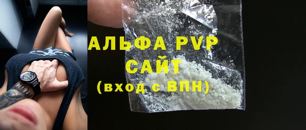 прущие грибы Абаза