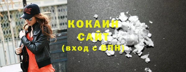 прущие грибы Абаза