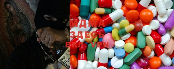 PSILOCYBIN Алзамай