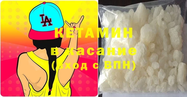 прущие грибы Абаза