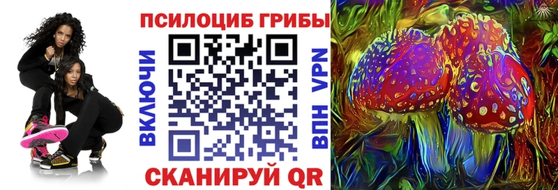 Псилоцибиновые грибы Psilocybine cubensis  omg сайт  Приволжский 